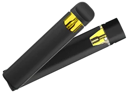 Cannabis disposable vapes category — shop disposable pens at Upstate Canna Co. Schenectady NY