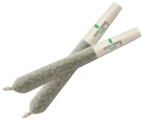 Cannabis prerolls category — shop prerolled joints at Upstate Canna Co. dispensary Schenectady NY