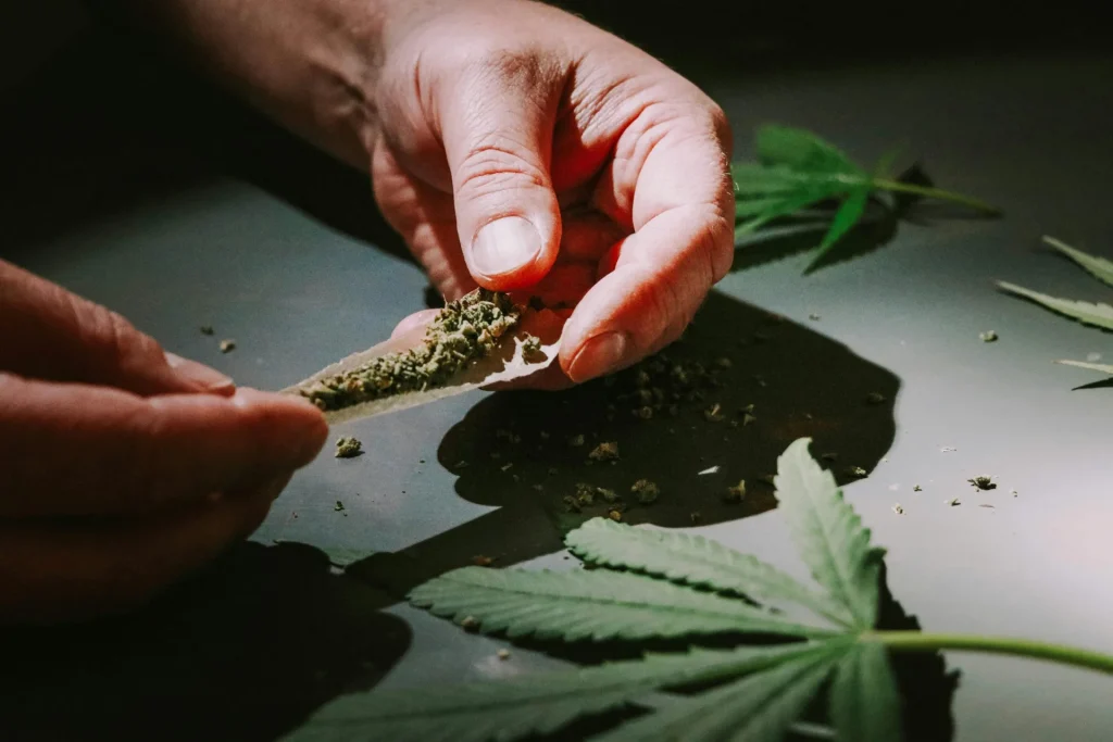 Hands rolling a cannabis pre-roll with ground flower and a cannabis leaf